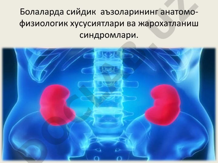 Болаларда сийдик аъзоларининг анатомо-физиологик хусусиятлари ва жарохатланиш синдромлари
