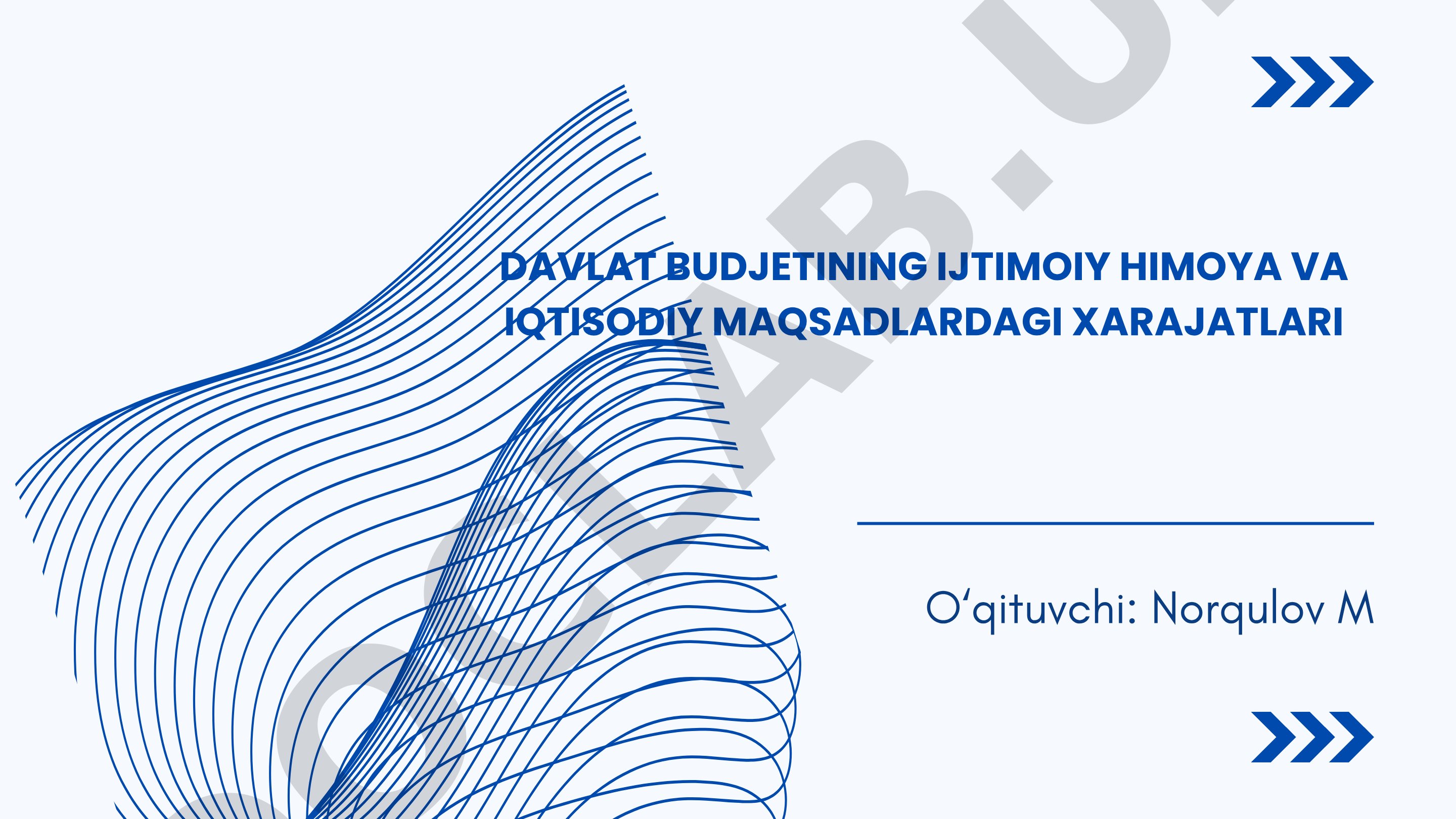 Davlat budjetining ijtimoiy himoya va iqtisodiy maqsadlardagi xarajatlari