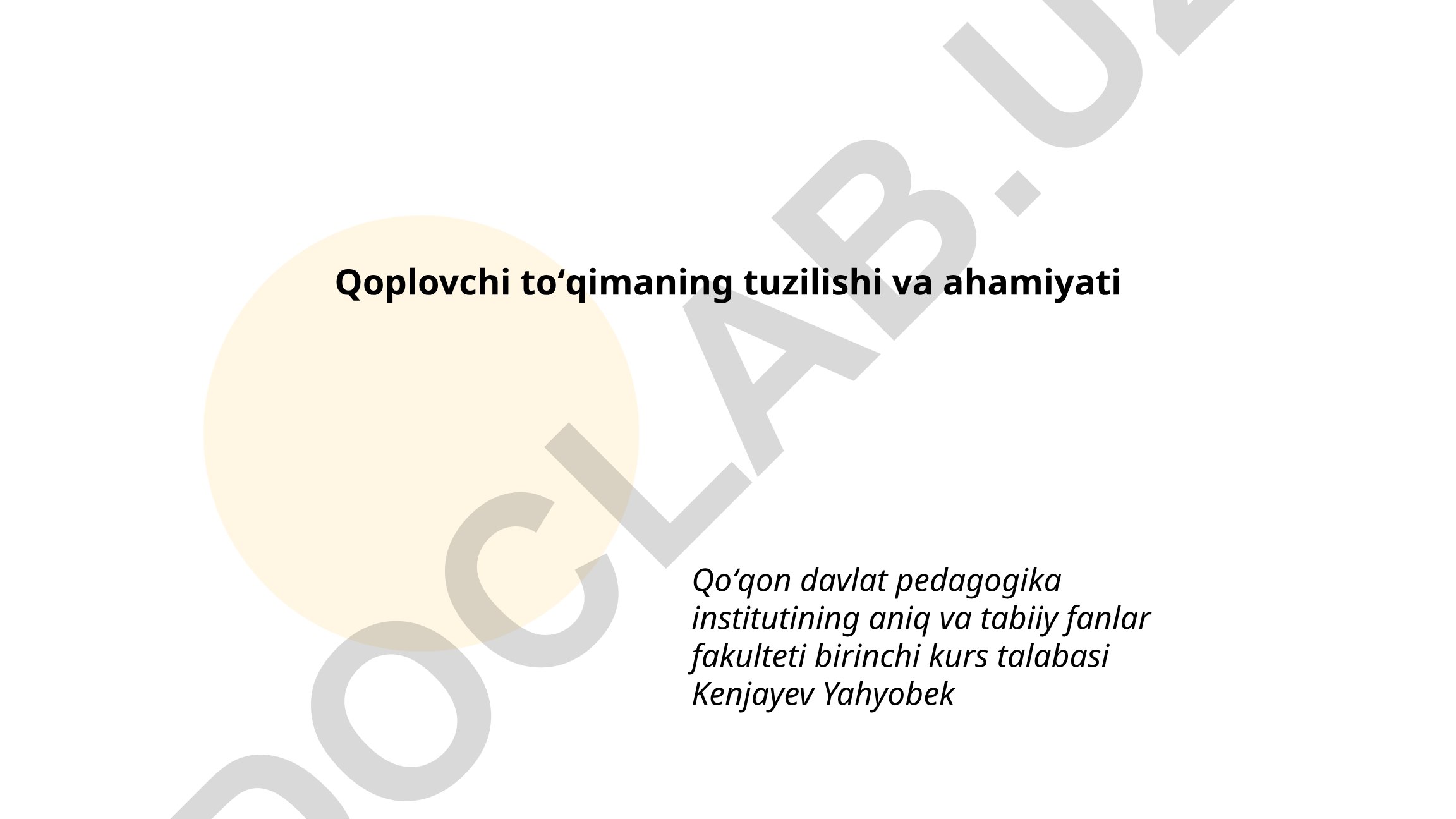 Qoplovchi toʻqimaning tuzilishi va ahamiyati