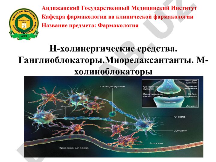Н-холинергические средства, ганглиоблокаторы, миорелаксанты и М-холиноблокаторы