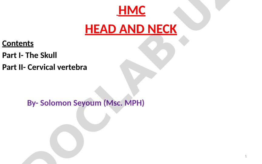 The Skull and Cervical Vertebra Anatomy
