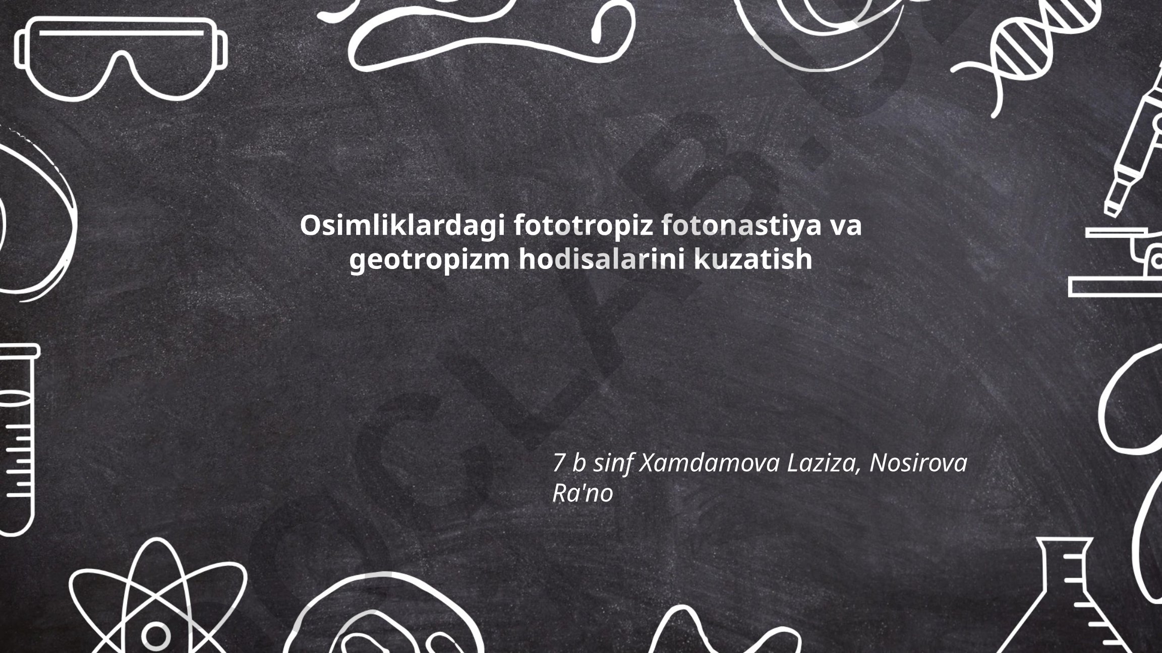 Osimliklardagi fototropiz, fotonastiya va geotropizm hodisalarini kuzatish