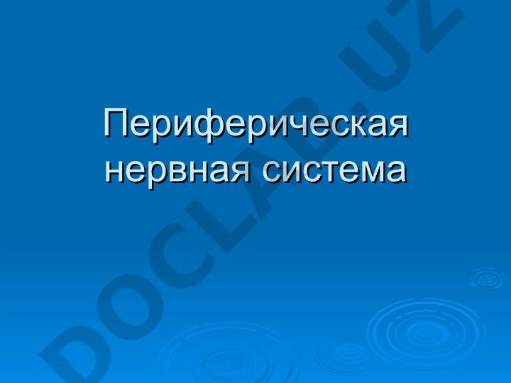 Периферическая нервная система
