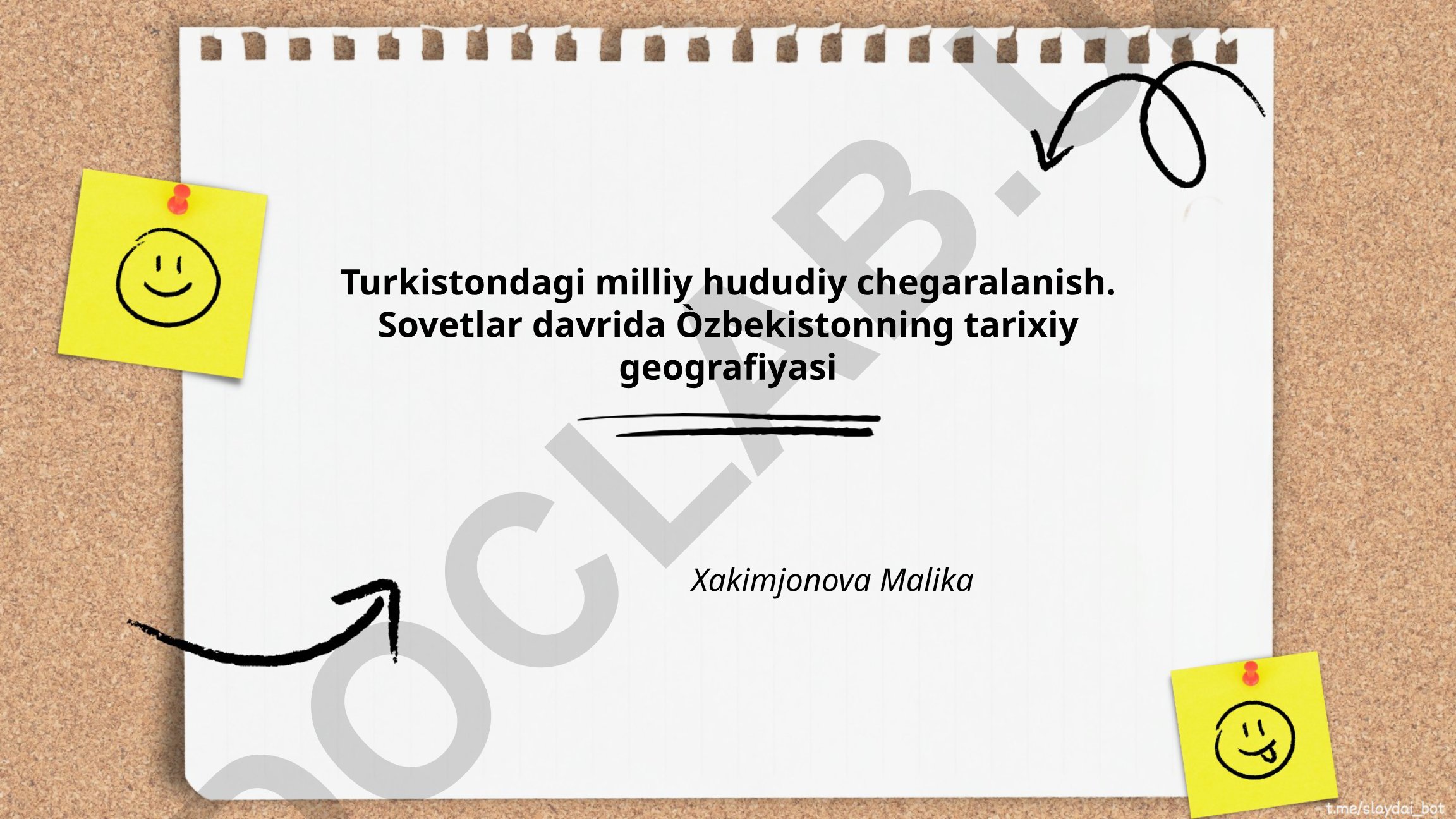 Turkistondagi milliy hududiy chegaralanish va Sovet davrida O'zbekistonning tarixiy geografiyasi