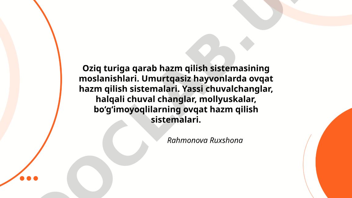 Oziq turiga qarab umurtqasiz hayvonlarda hazm qilish sistemalari