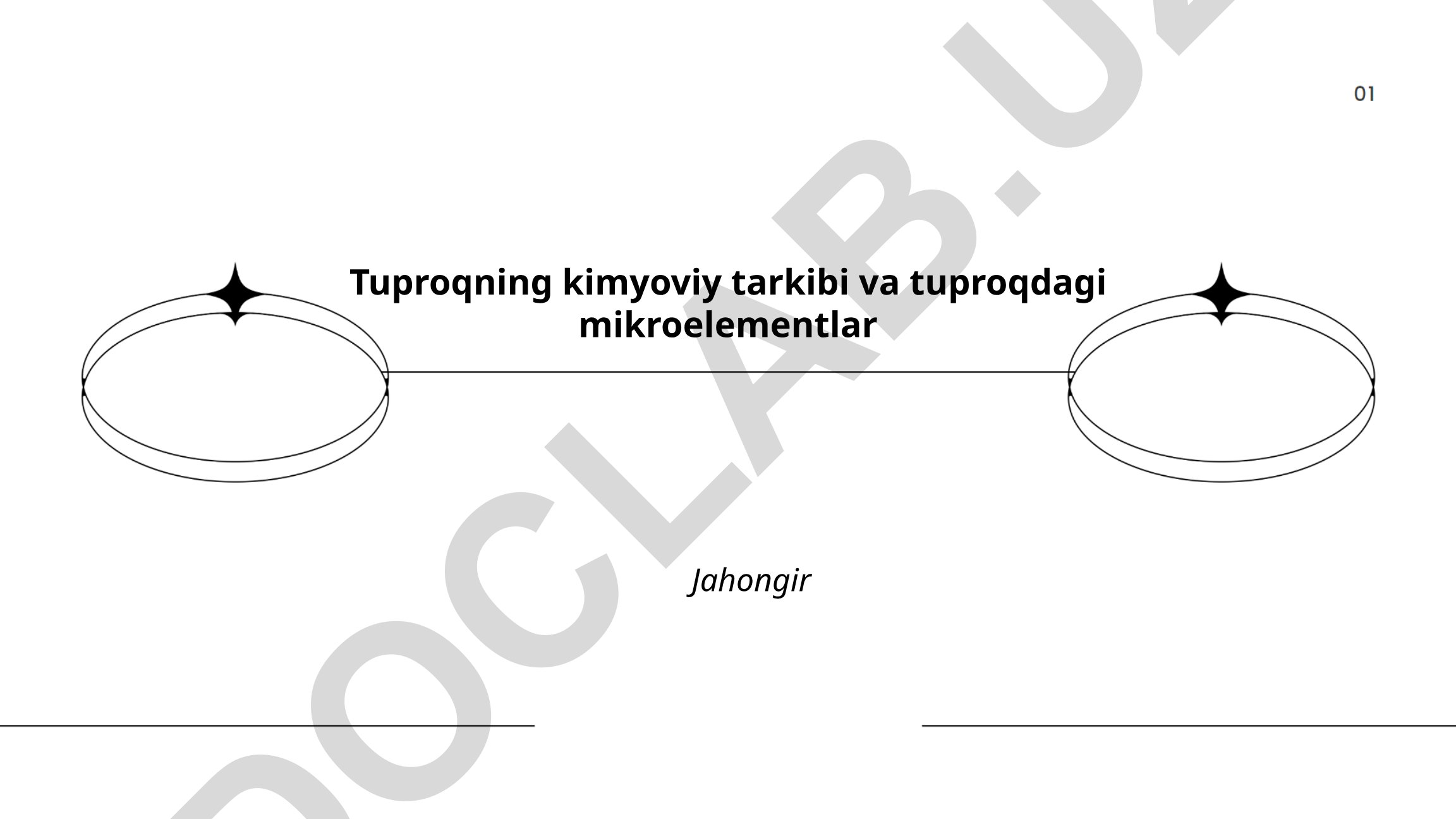 Tuproqning kimyoviy tarkibi va tuproqdagi mikroelementlar