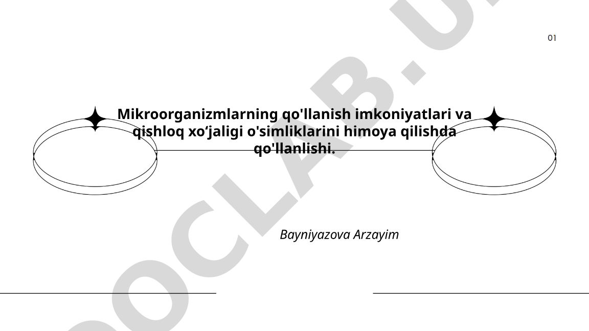 Mikroorganizmlarning qo'llanish imkoniyatlari va qishloq xoʻjaligi o'simliklarini himoya qilishda qo'llanlishi