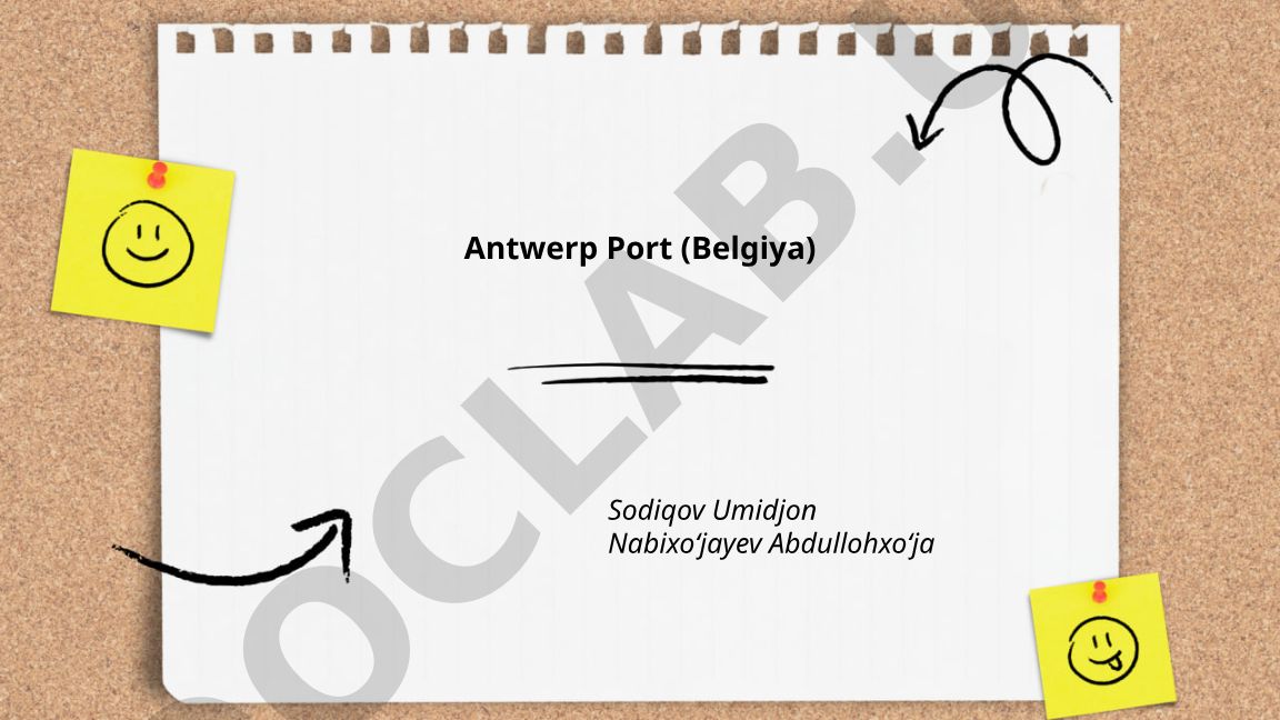 Antverpen portining tarixi, geografik joylashuvi va konteyner terminallari