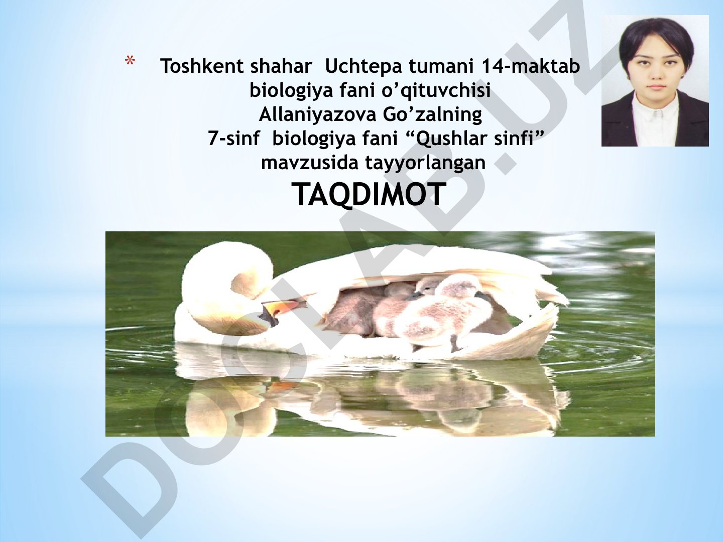 Ko'k kaptarning tashqi va ichki tuzilishi