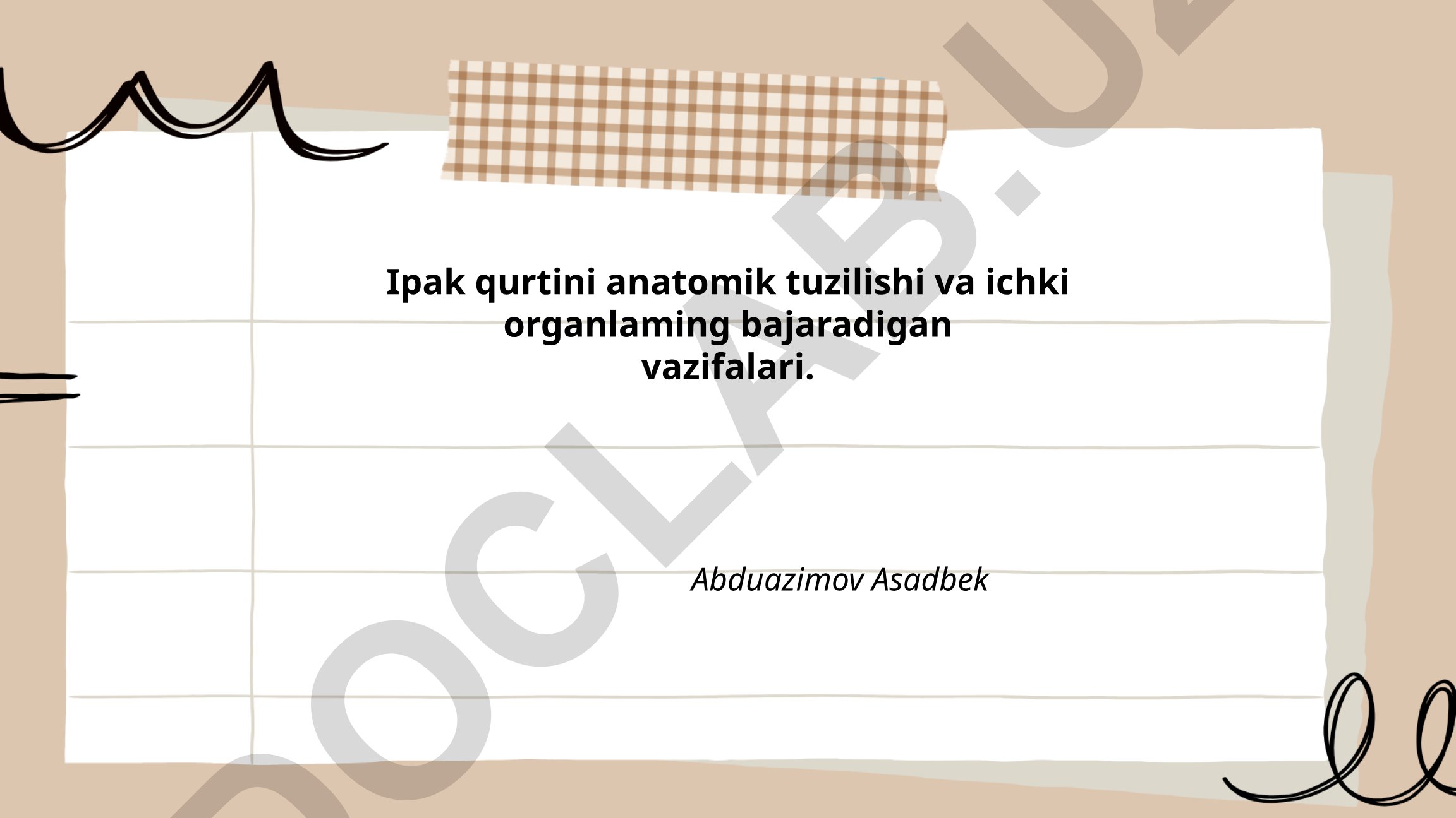 Ipak qurtini anatomik tuzilishi va ichki organlarning vazifalari