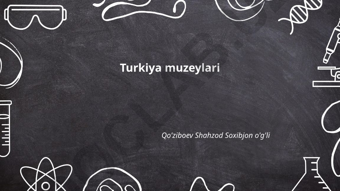 Turkiya muzeylari
