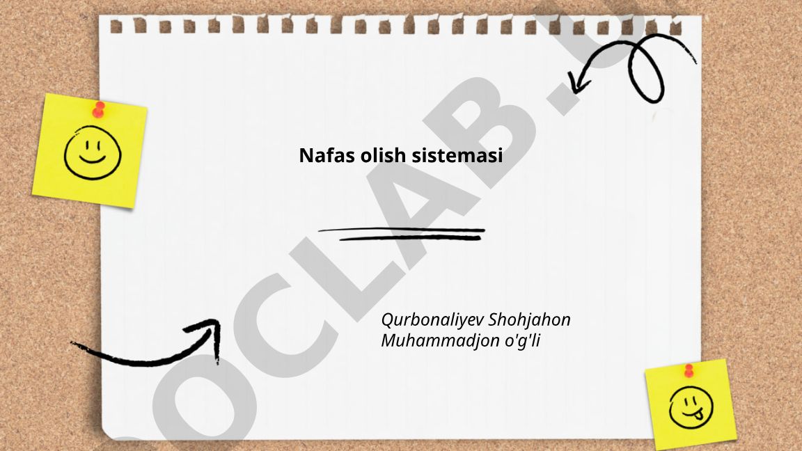 Nafas olish sistemasi anatomiyasi va fiziologiyasi