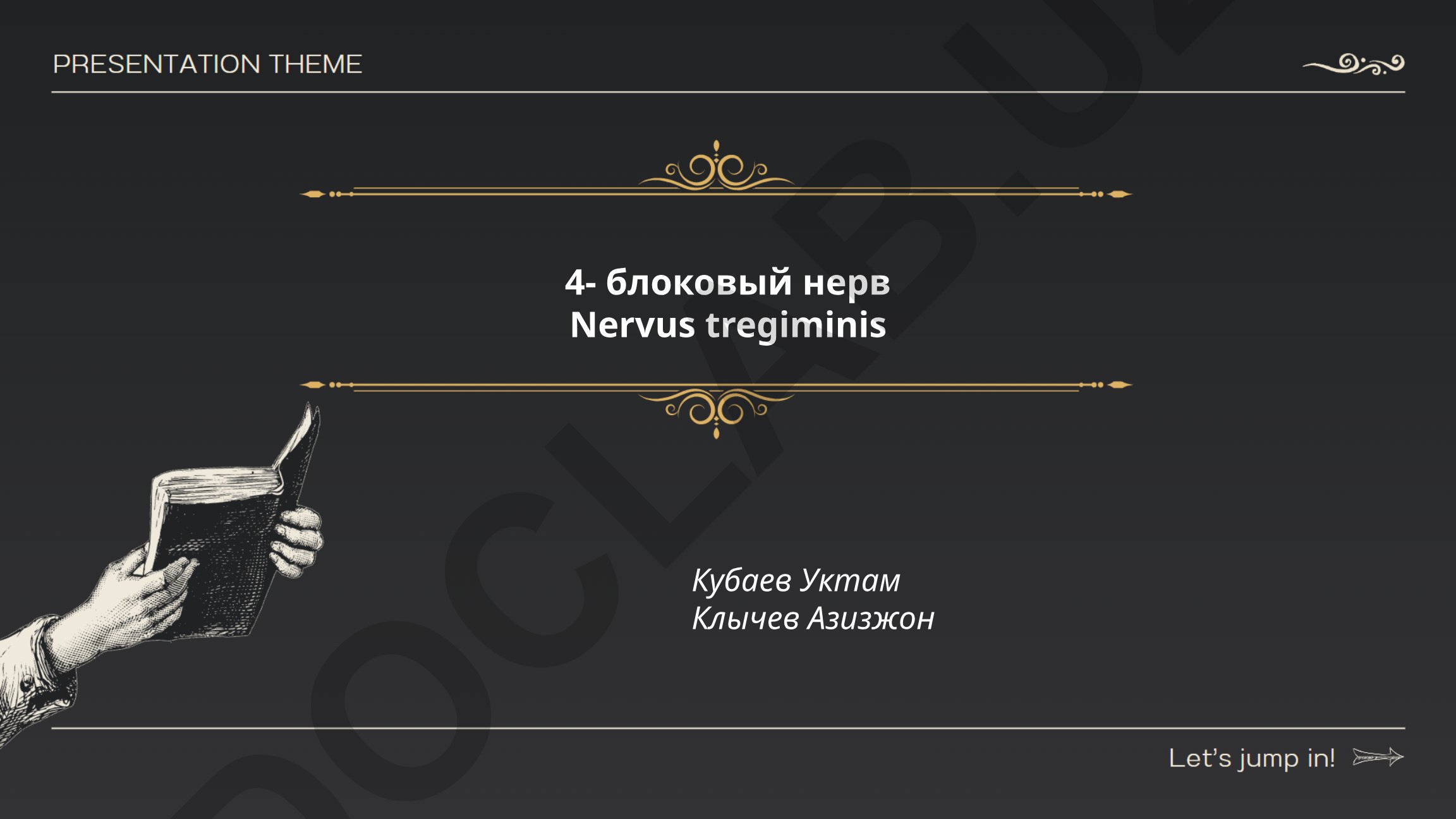 Четвёртый блоковый нерв (nervus trochlearis): строение, функции и анатомия