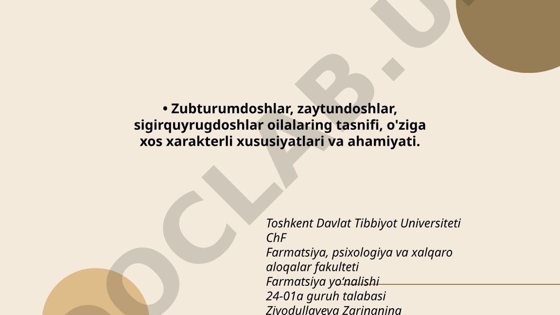 Zubturumdoshlar, zaytundoshlar, sigirquyrugdoshlar oilalarining tasnifi va ahamiyati