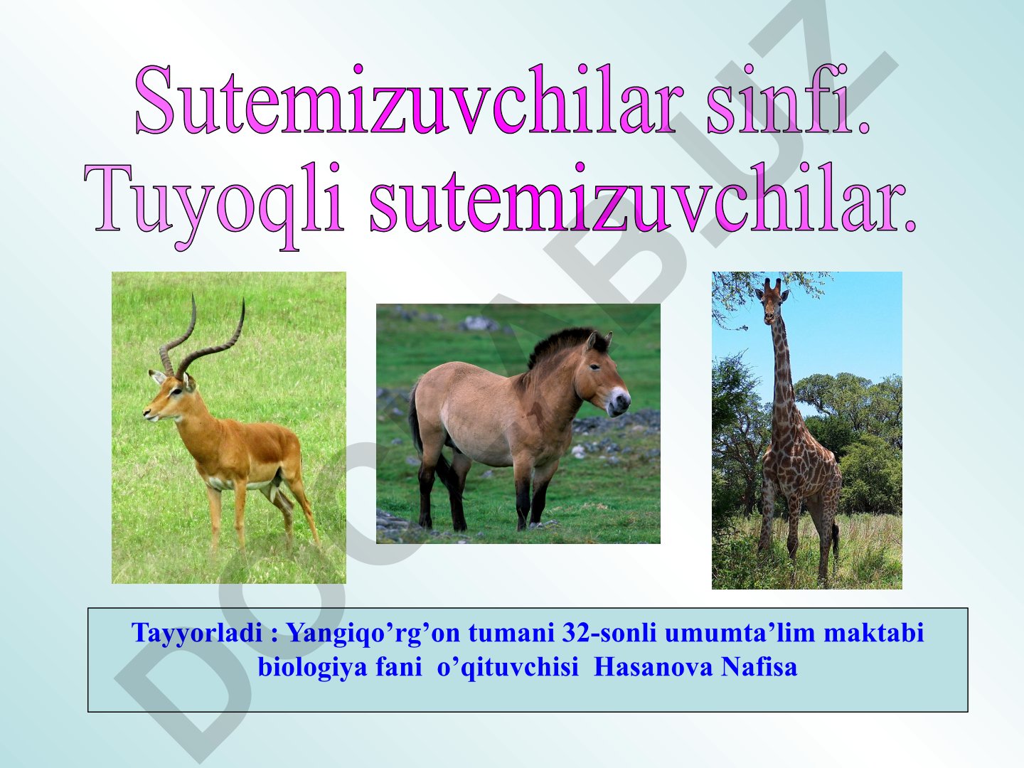 Sutemizuvchilar sinfi va tuyoqli sutemizuvchilar