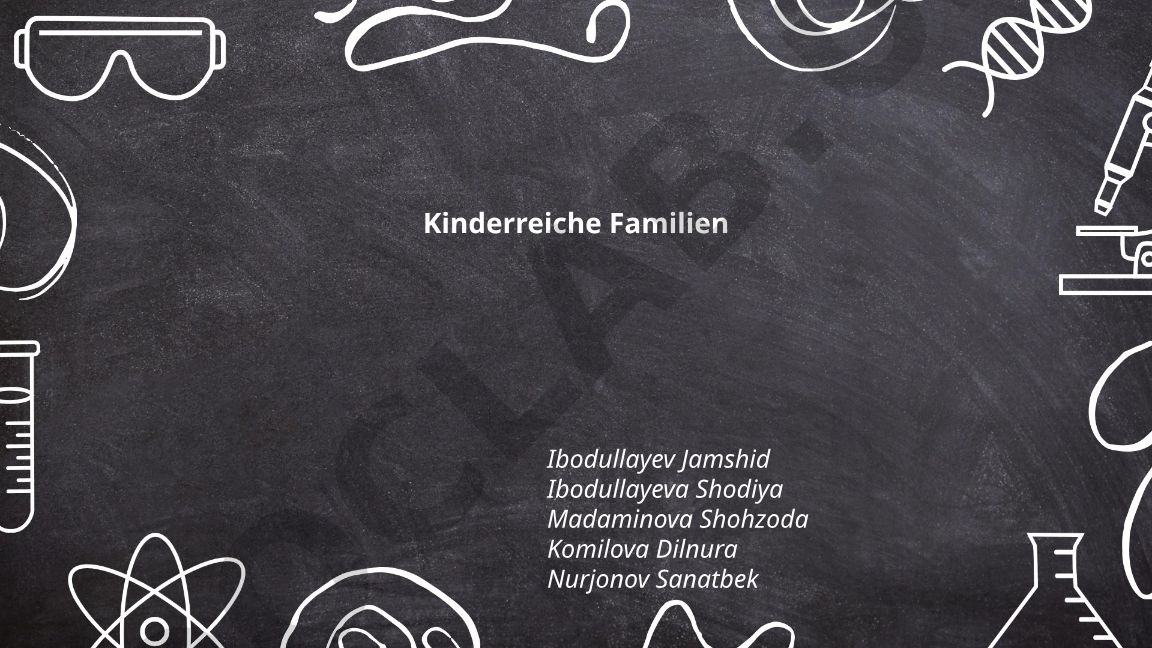 Kinderreiche Familien in Deutschland: Definition, Statistik und finanzielle Unterstützung