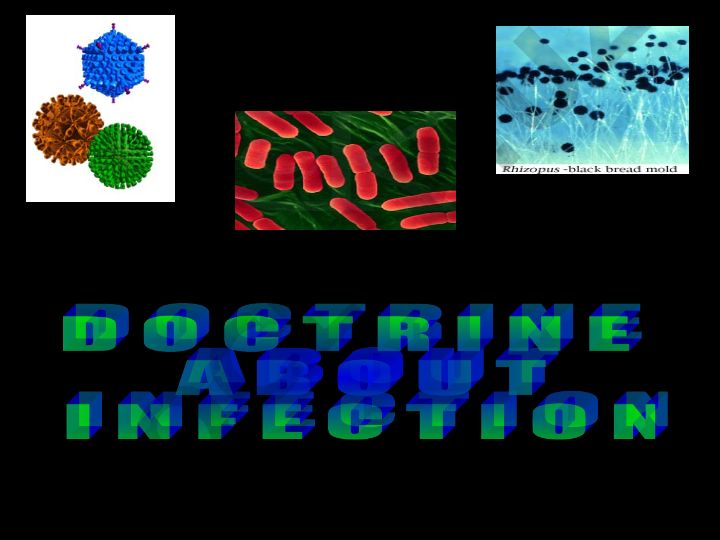 Spread of infectious diseases in different regions of the Earth