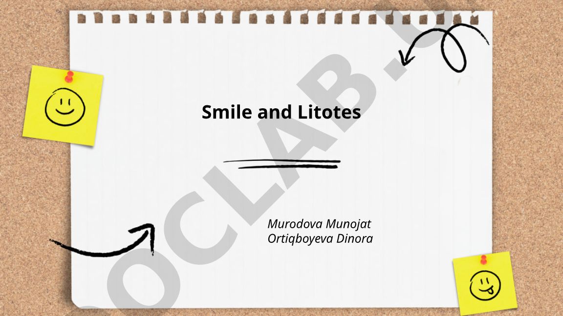 Smile and Litotes in English Language