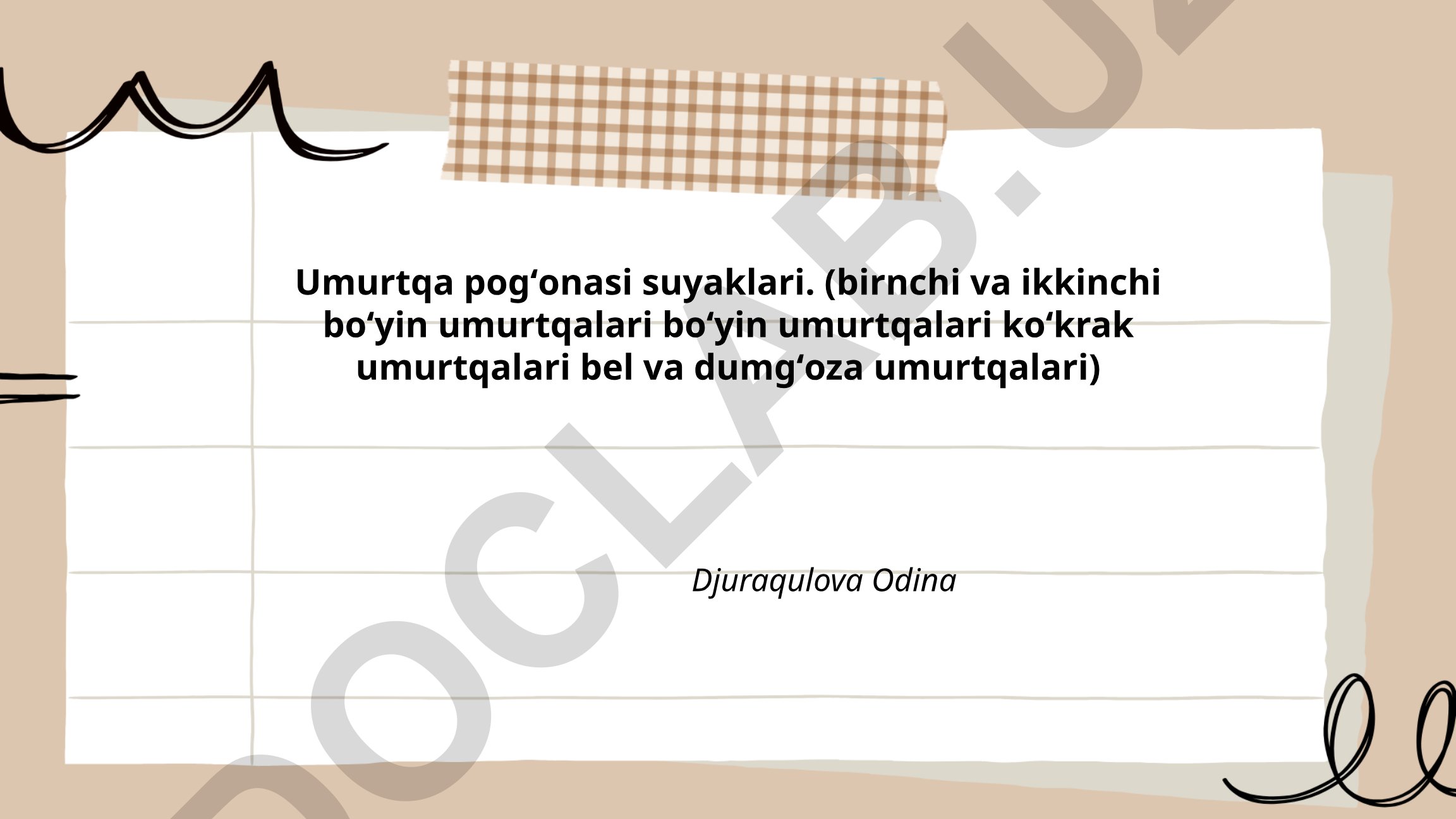 Umurtqa pogʻonasi anatomiyasi va umurtqalar tuzilishi