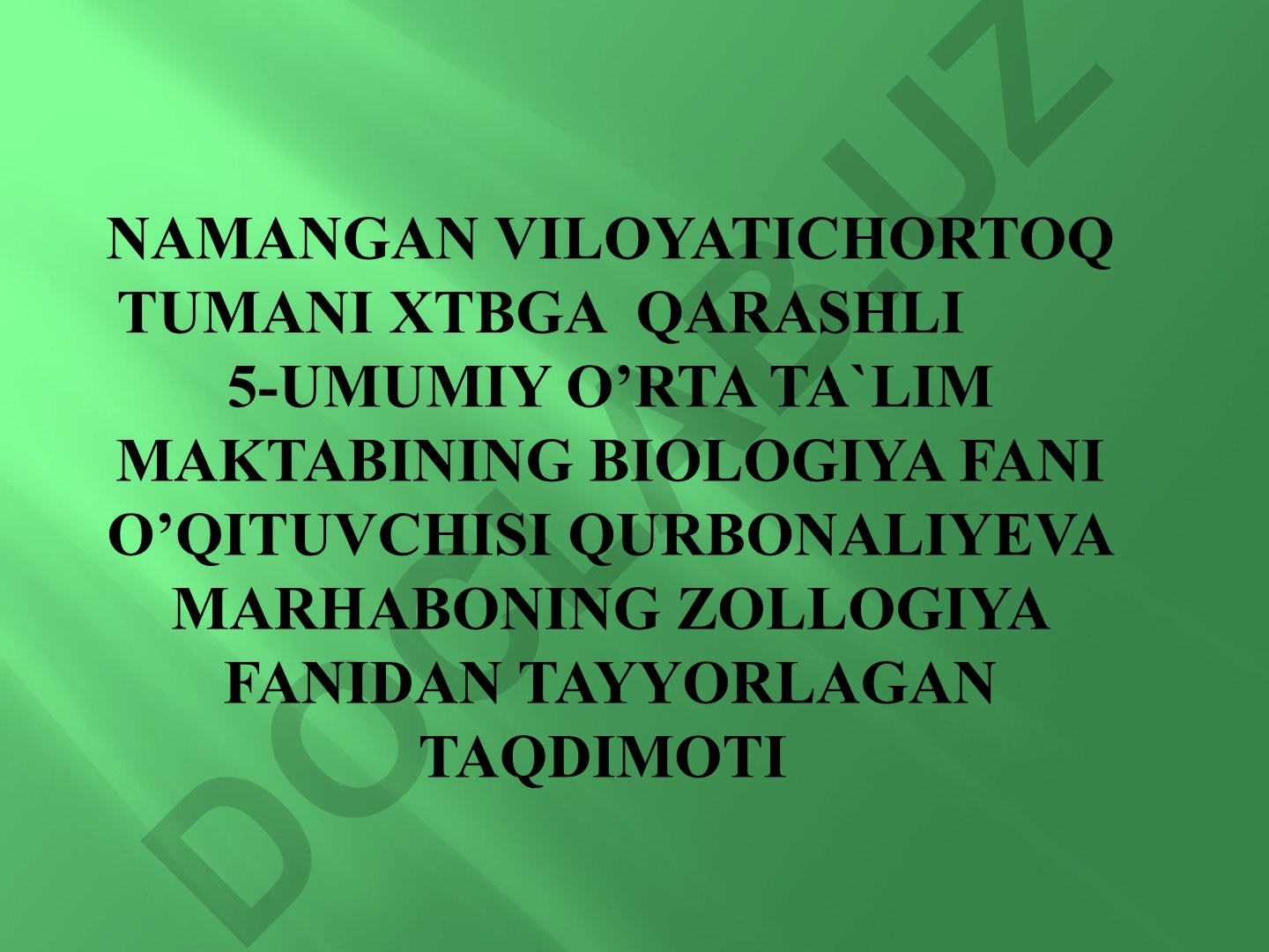 Yirtqich sutemizuvchilar turkumi