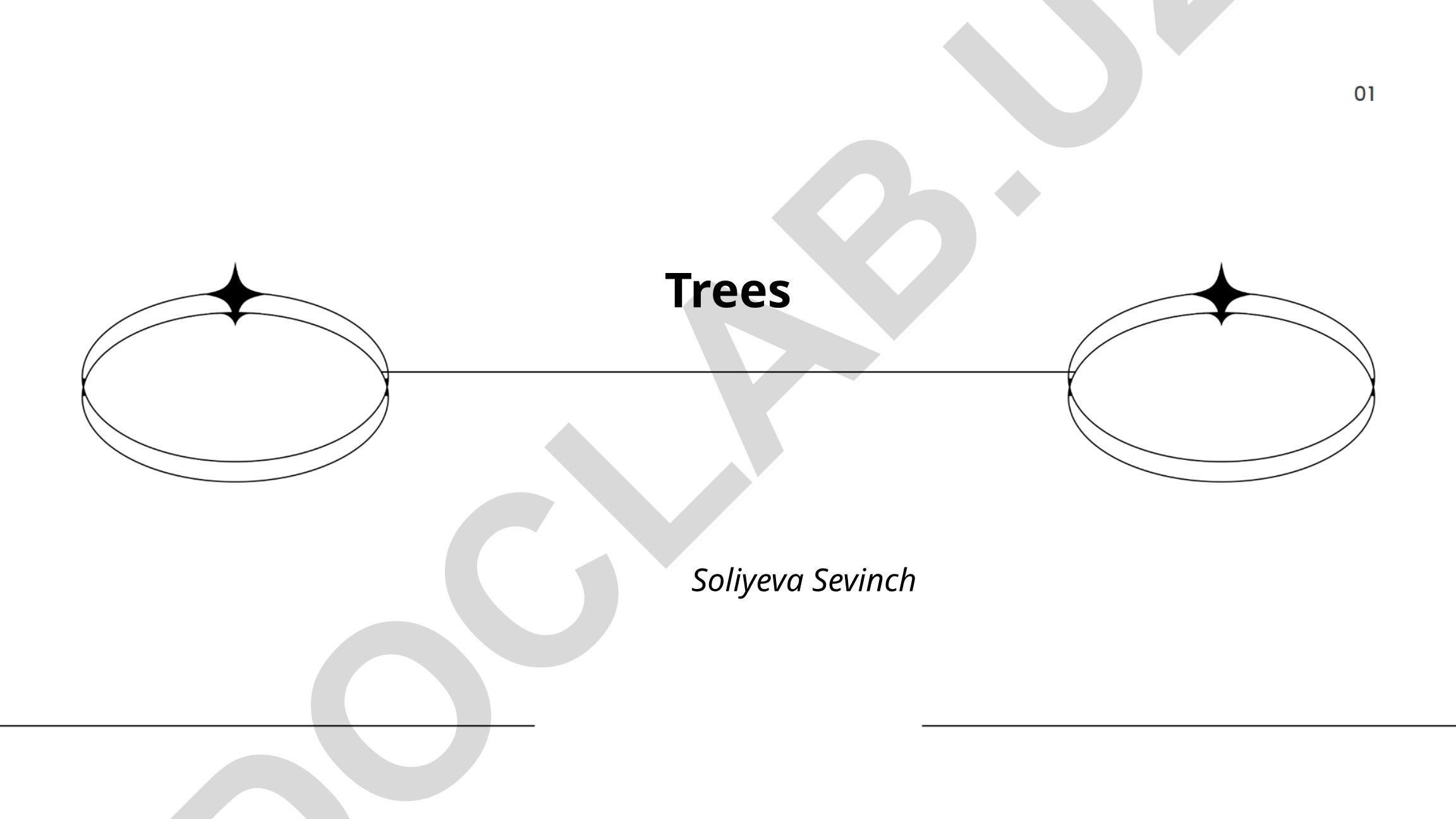 Tree Anatomy, Photosynthesis and Types of Trees