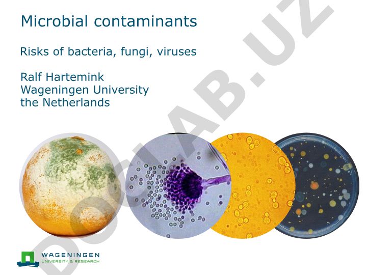 Microbial contaminants in food: risks, types, and prevention