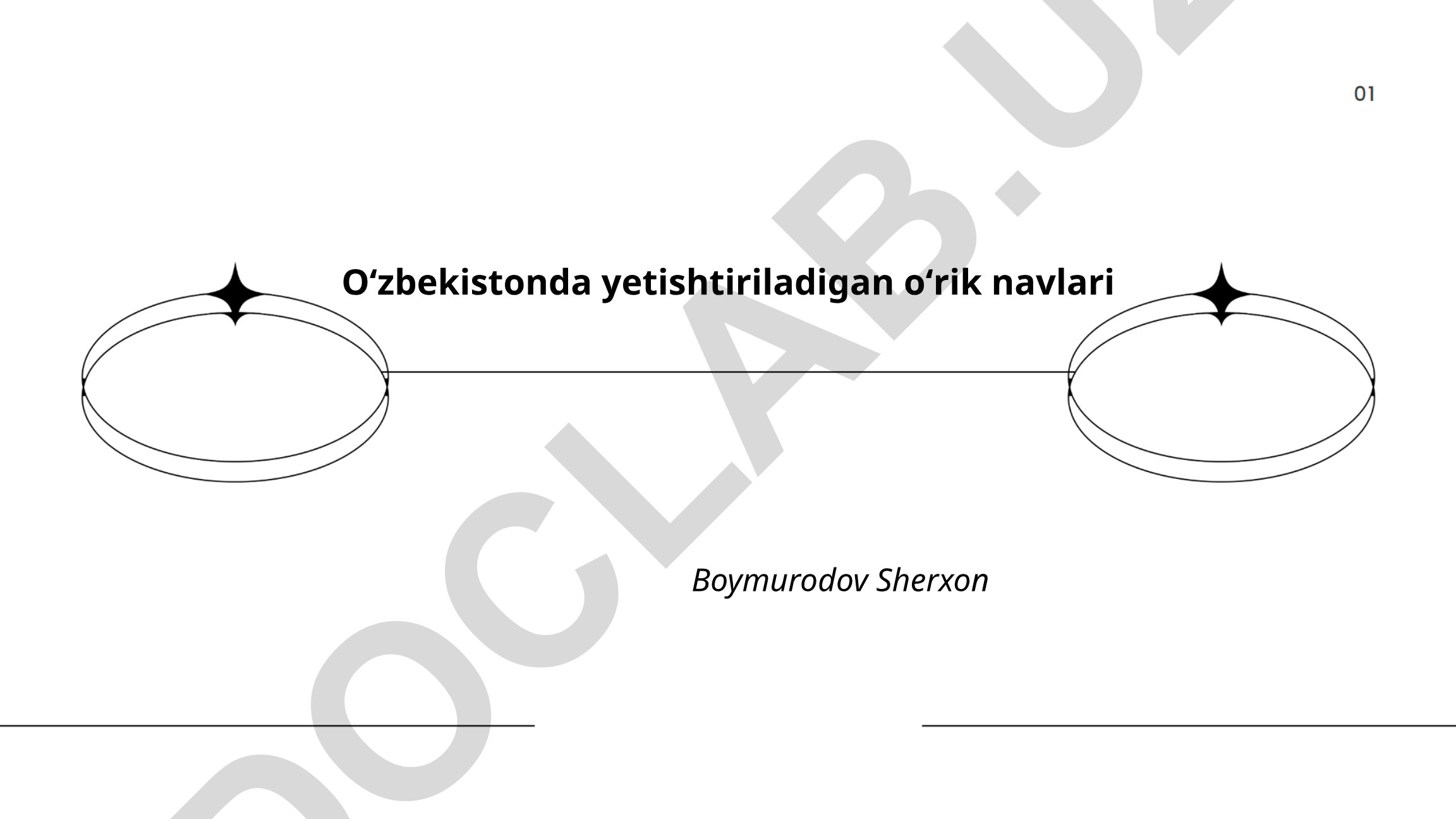 Oʻzbekistonda yetishtiriladigan oʻrik navlari
