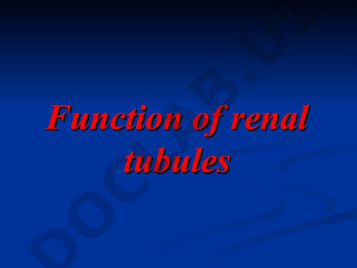 Renal Tubule Functions and Reabsorption Mechanisms