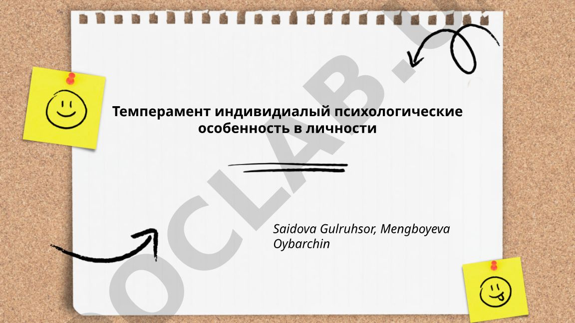 Темперамент как индивидуальная психологическая особенность личности