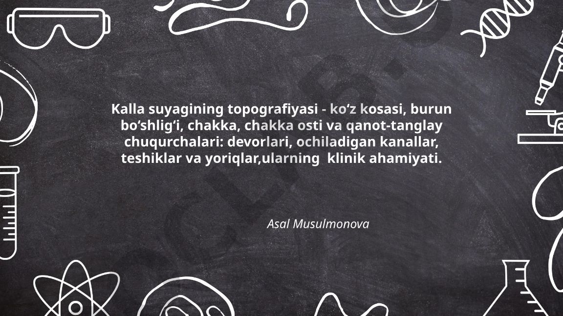 Kalla suyagining topografiyasi - ko'z kosasi, burun bo'shlig'i, chakka, chakka osti va qanot-tanglay chuqurchalari