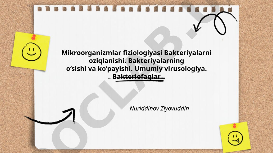 Mikroorganizmlar fiziologiyasi: bakteriyalarning oziqlanishi, o'sishi va virusologiya