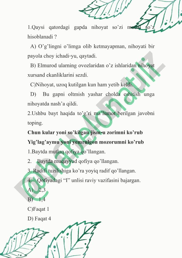 O'zbek tili grammatikasi va adabiyotidan test savollari