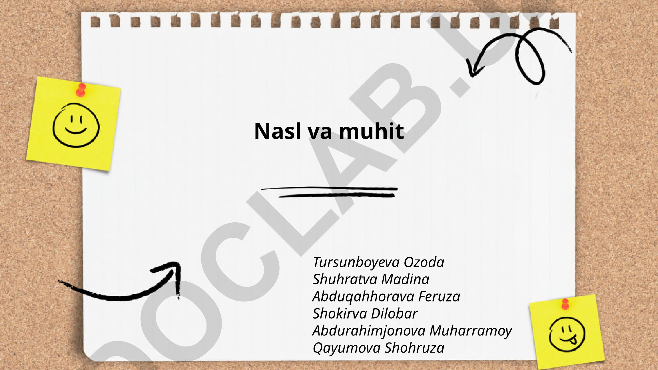 Nasl va muhit tushunchalari, genotip va fenotip munosabati