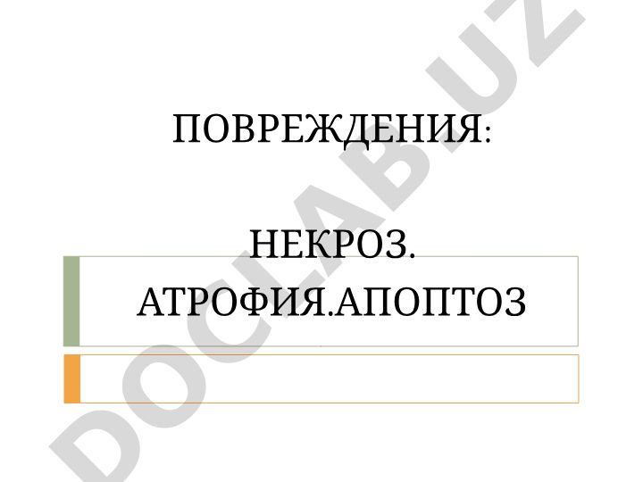 Некроз, атрофия и апоптоз: причины, признаки и формы