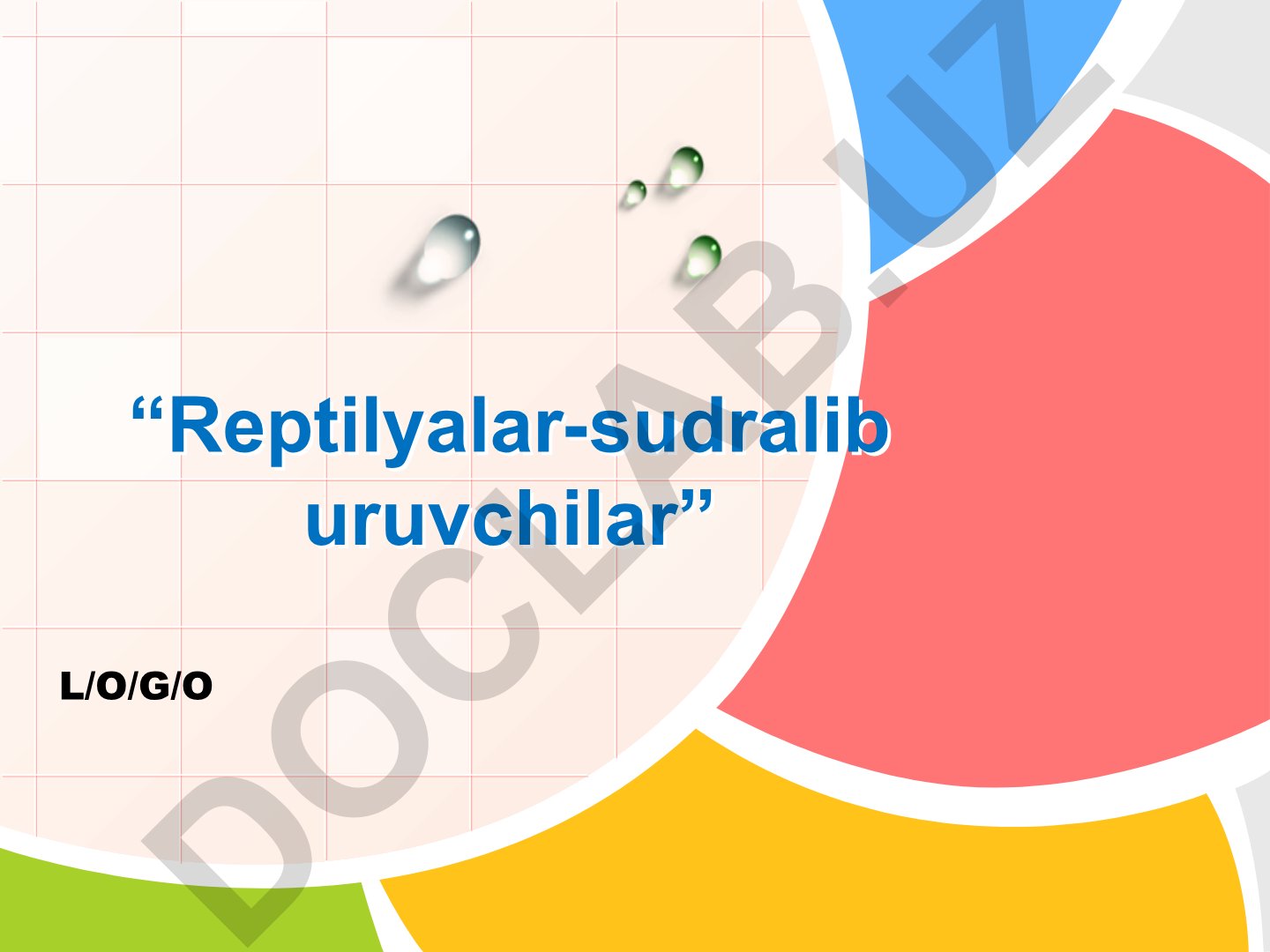 Sudralib yuruvchilar sinfi va ildam kaltakesakning tuzilishi