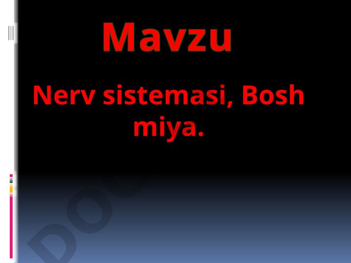 Nerv sistemasi va bosh miya tuzilishi