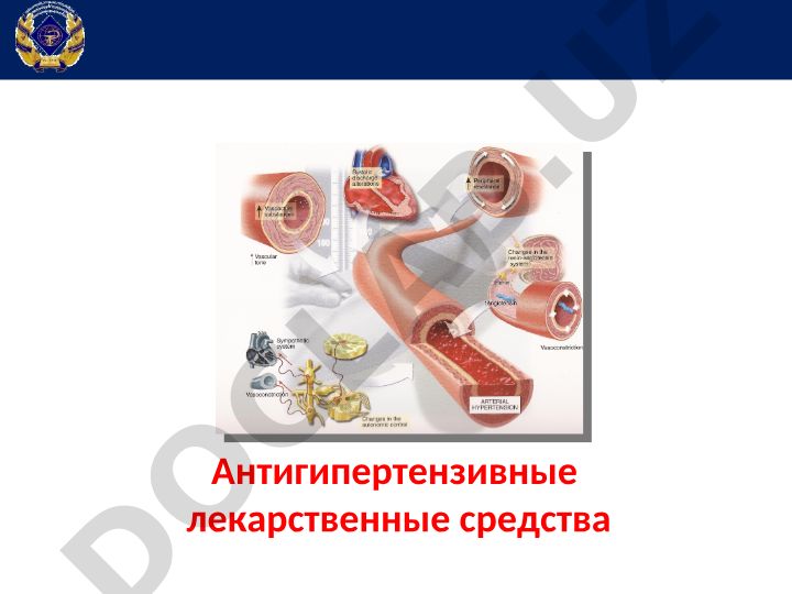 Антигипертензивные лекарственные средства