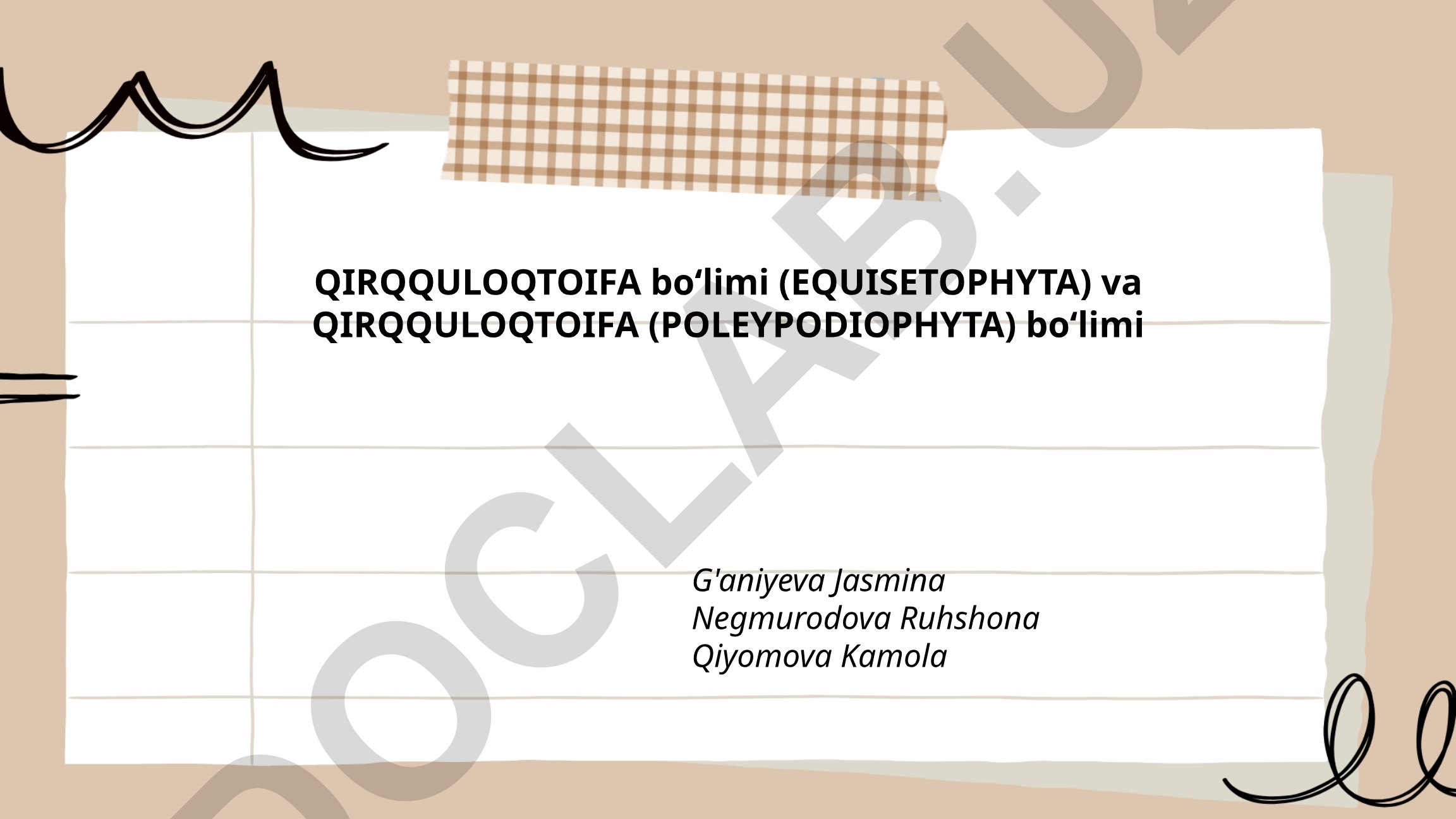 Equisetophyta va Polypodiophyta bo'limlari