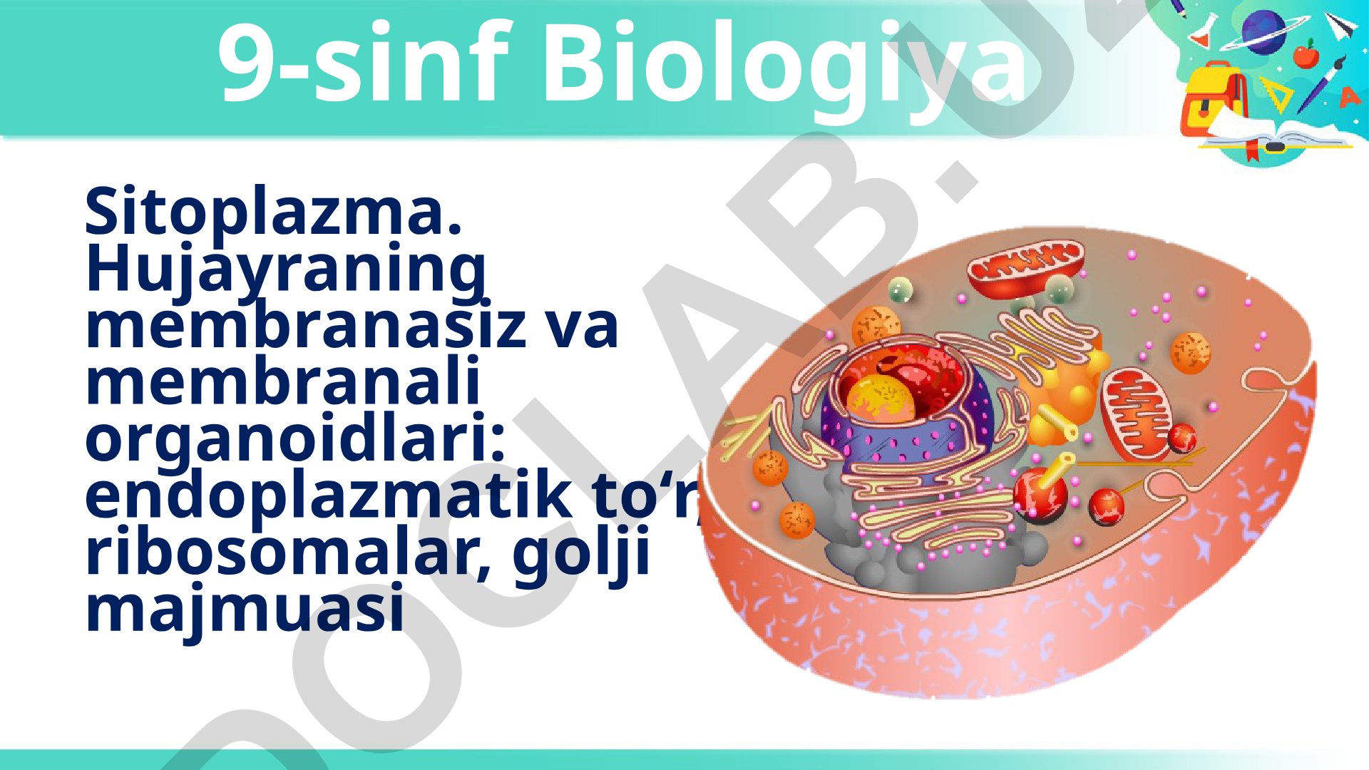 Sitoplazma va hujayra organoidlari