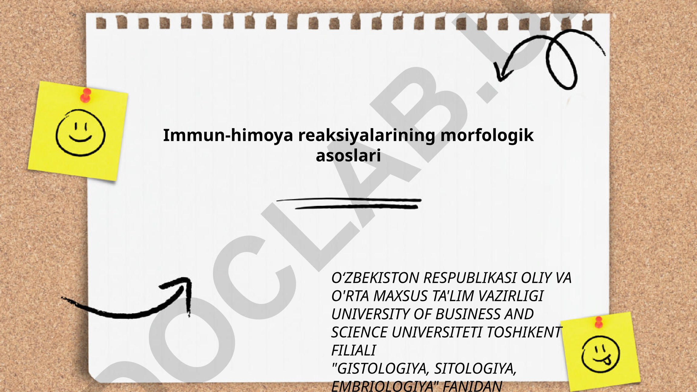 Immun-himoya reaksiyalarining morfologik asoslari