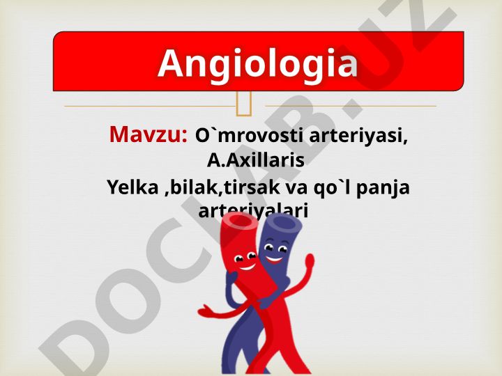 O'mrovosti arteriyasi, A.Axillaris Yelka, bilak, tirsak va qo'l panja arteriyalari
