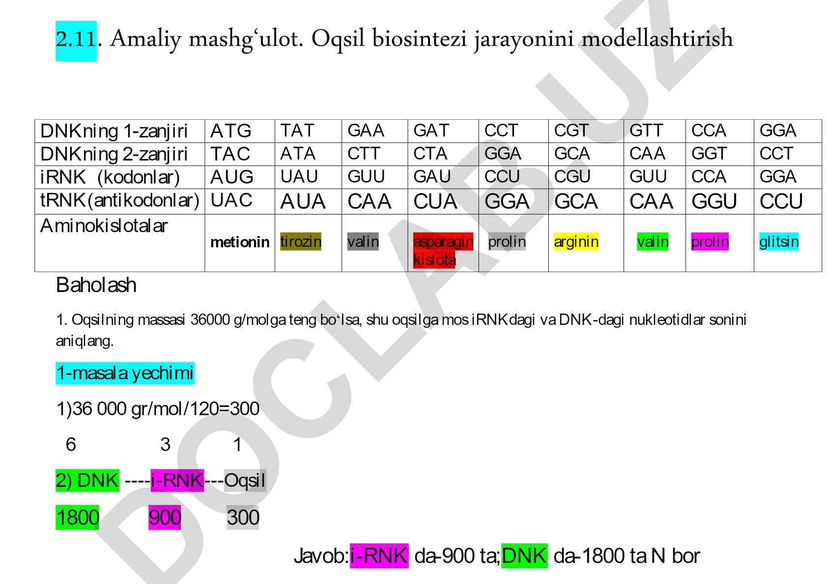 Oqsil biosintezi jarayonini modellashtirish