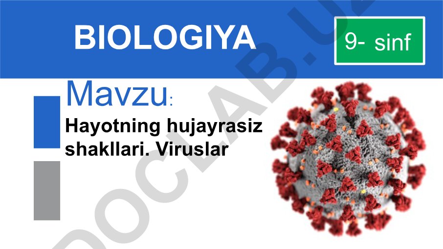 Hayotning hujayrasiz shakllari. Viruslar