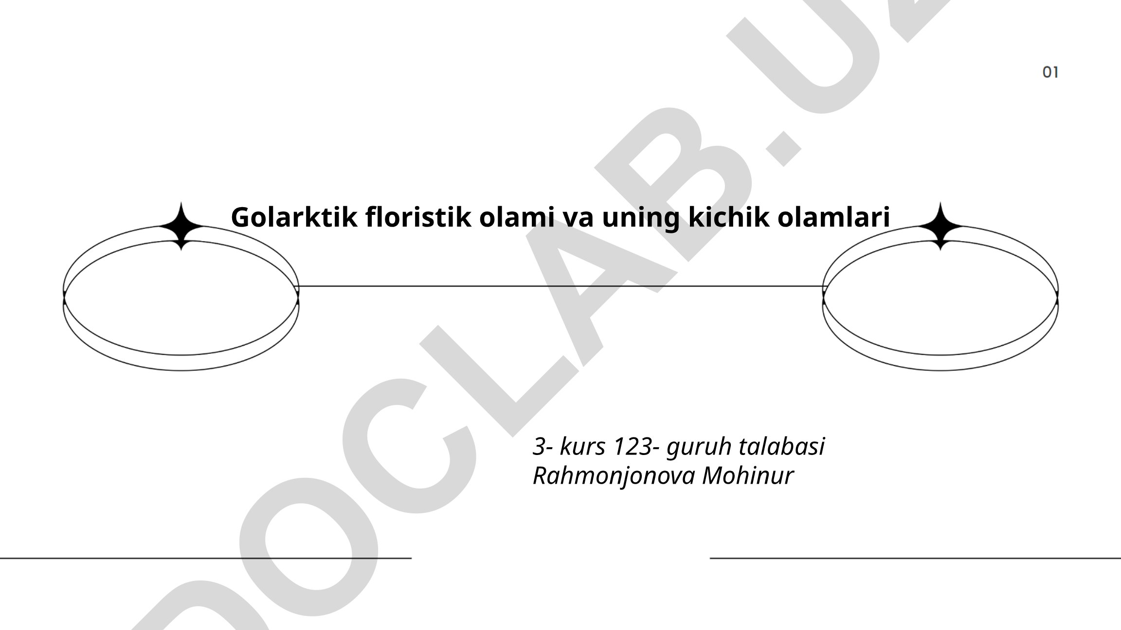 Golarktik floristik olami va uning kichik olamlari