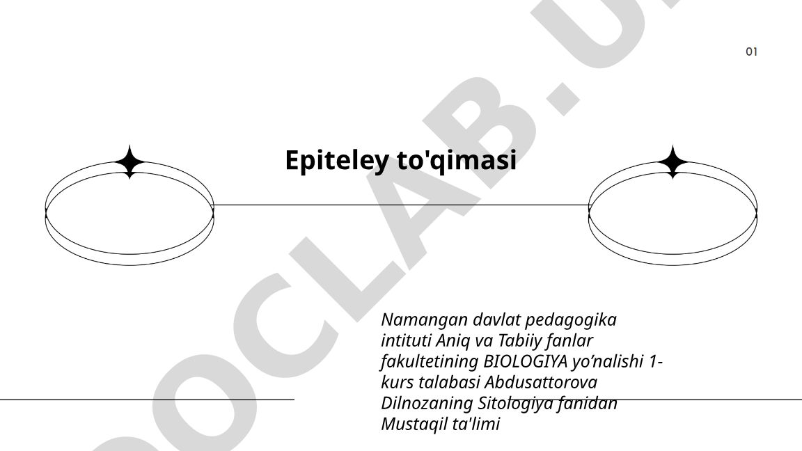 Epiteley to'qimasining ta'rifi va xususiyatlari