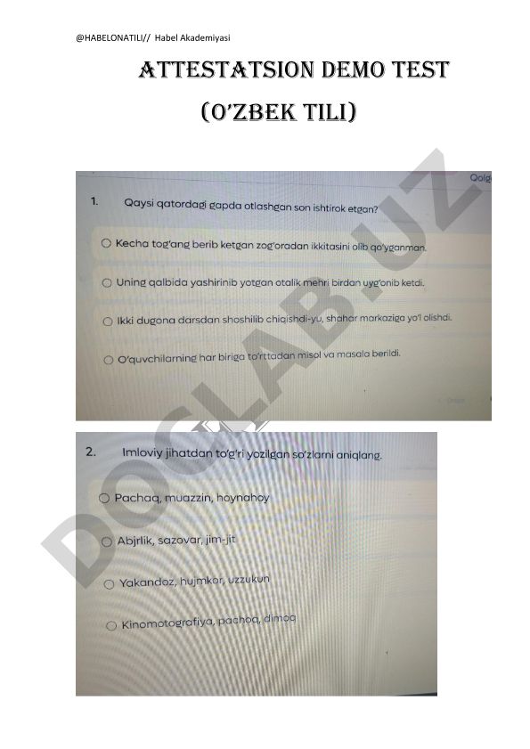 Habel Akademiyasi attestatsion demo testi