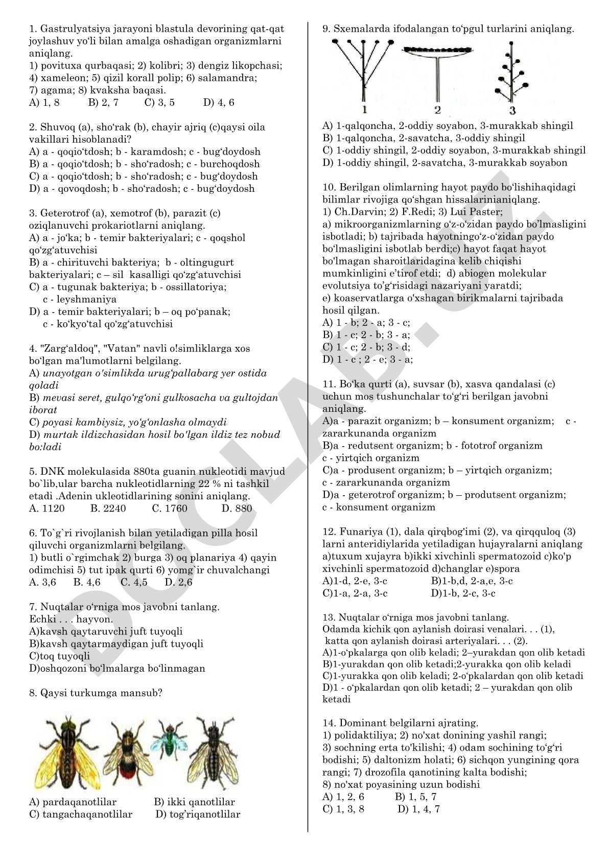 Biologiya: gastrulyatsiya, o'simlik oilalari va prokariotlar