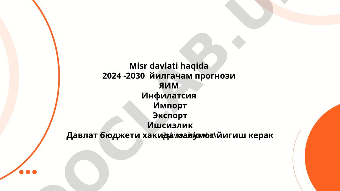 Misr davlatining 2024-2030 yillar uchun iqtisodiy prognozlari