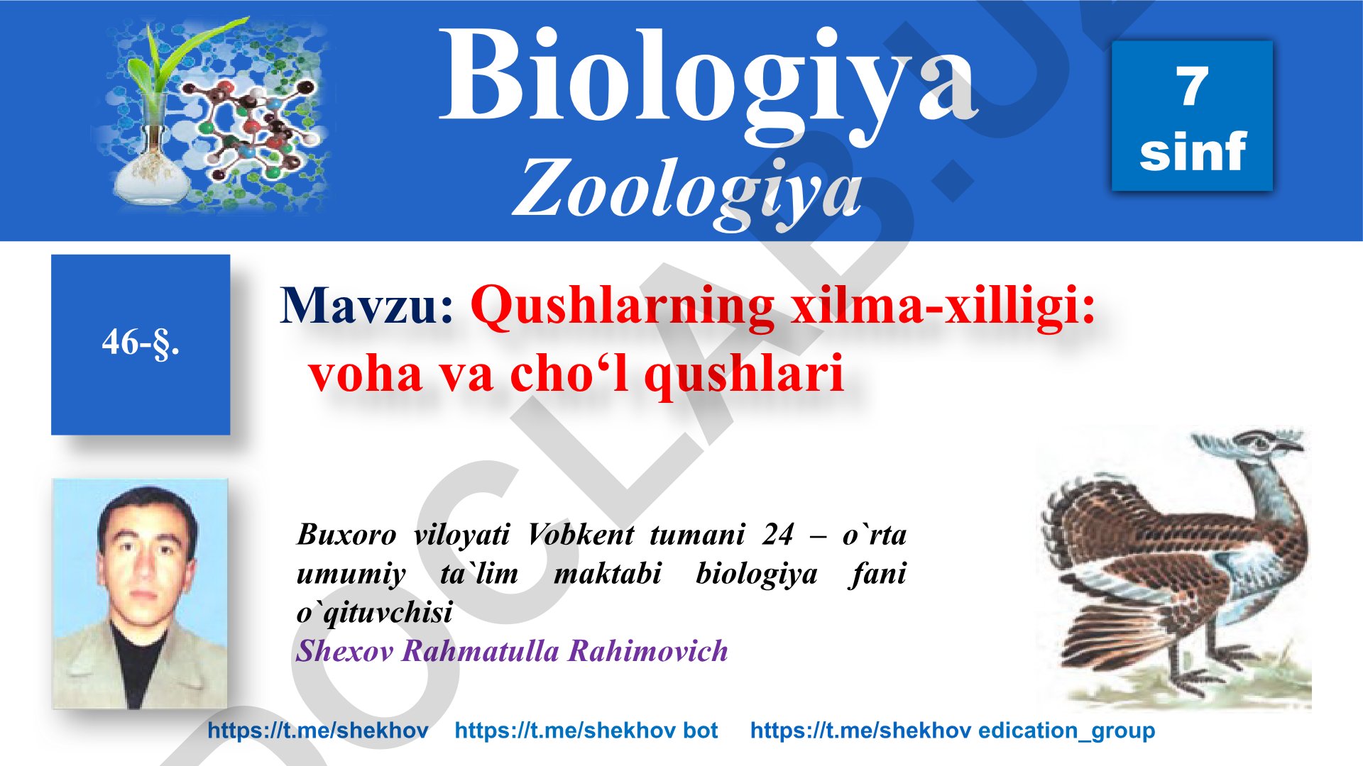 Qushlarning xilma-xilligi: voha va cho‘l qushlari