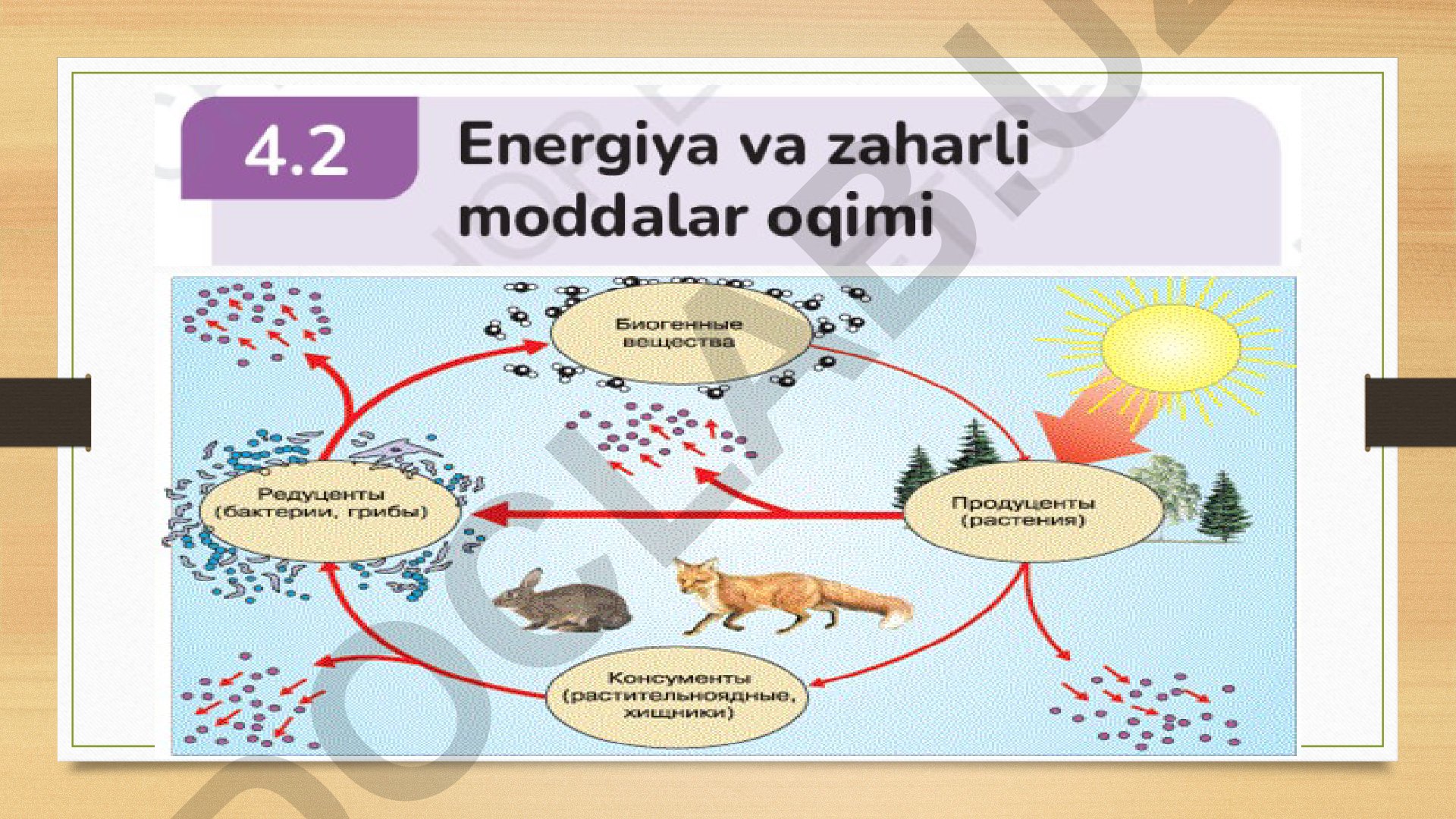Topshiriqlar va mashq daftari